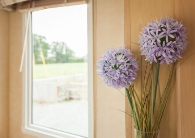 Pitch and Canvas | Glamping and Camping in Cheshire | Flowers